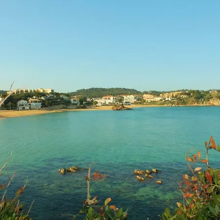 E15 Palamos
