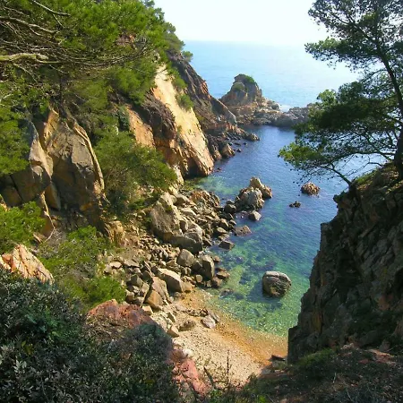 E15 Palamos